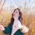 赛博体育手机app下载